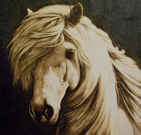 The White Horse by Stefania Mante